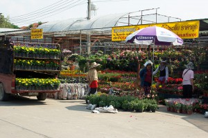 Flower and plant vendors.