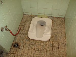 typical_toilet_in_urban_syria-_flush_toilet_squatting_pan_3232388550